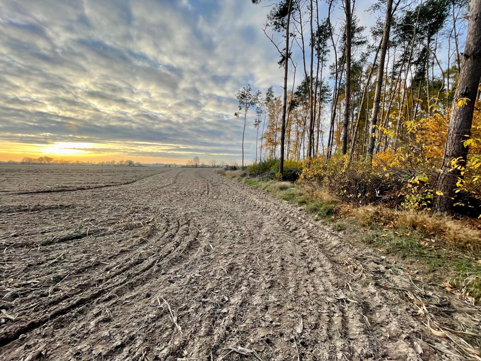  Atrakcyjny grunt rolny blisko lasu i jeziora - DLA INWESTORA